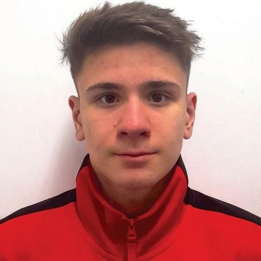 Alexandru  Constantinescu