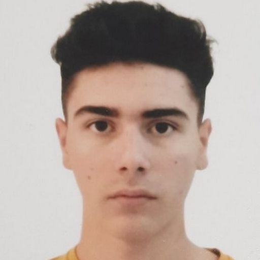  Andrei Ciprian  Constantinescu