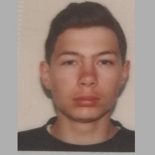 Cristian Ștefan  Staicu