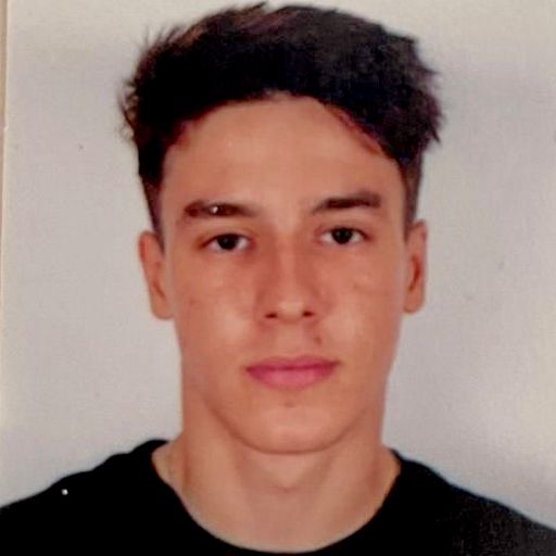 David Ștefan  Damian