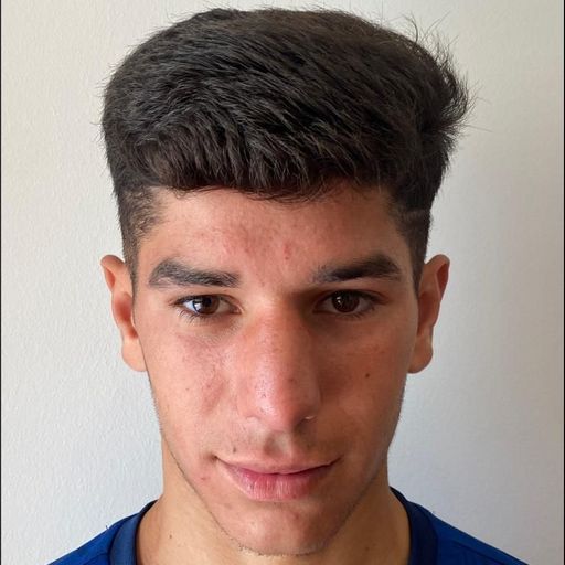 Ionuț Alexandru  Costea