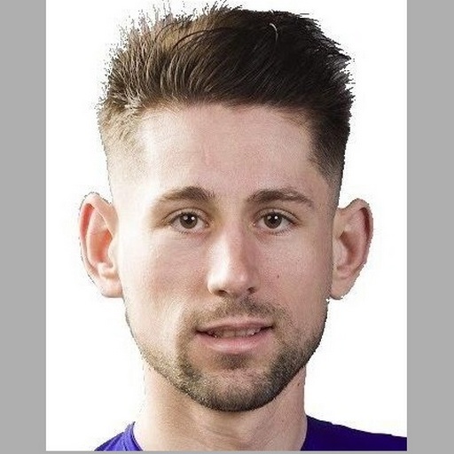 József Attila  Málnási 