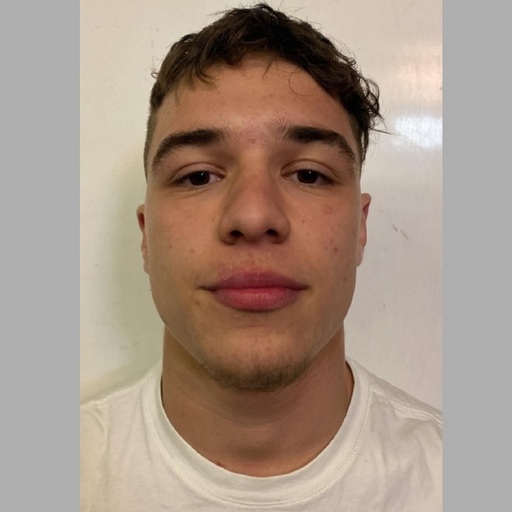 Nicolae Fabian Iorga