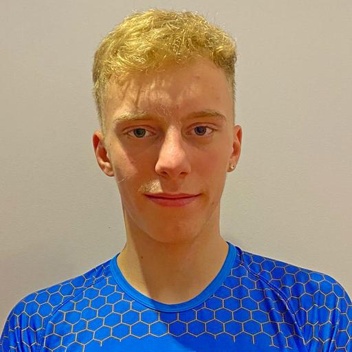 Ștefan Mihai  Biriș