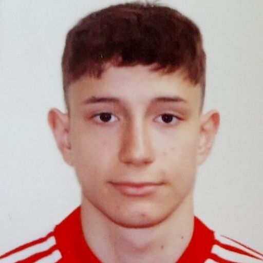 Theodor Ștefan Trică