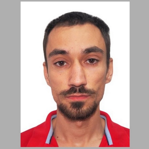 Vlad  Dulcescu