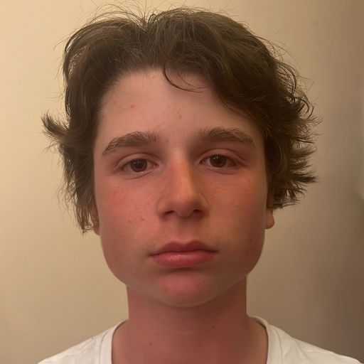 Yannick Theodor Nicolas  Alexandrescou